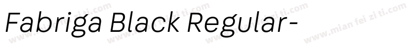 Fabriga Black Regular字体转换